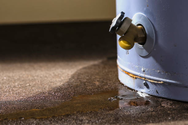 Best Water damage contractors near me  in West Liberty, WV