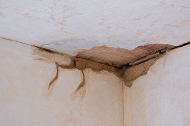 Best Local water damage restoration  in West Liberty, WV