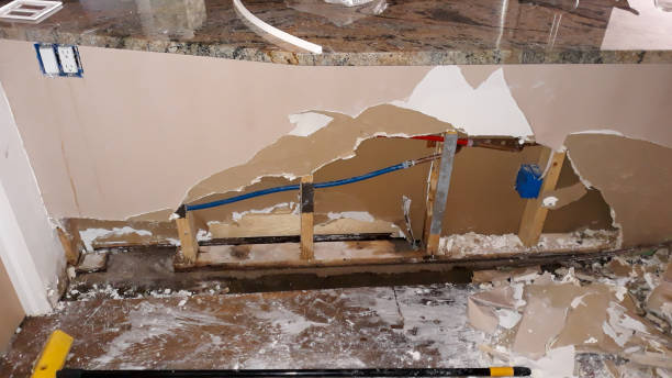 Best Water damage restoration company  in West Liberty, WV