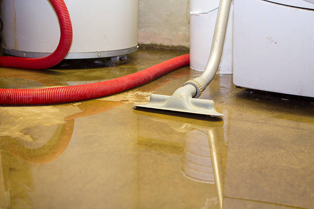  West Liberty, WV Water damage restoration Pros