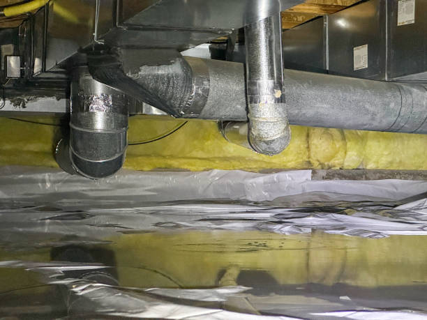 Best Fire Damage Restoration  in West Liberty, WV