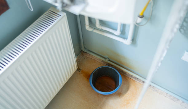 Best Water damage restoration near me  in West Liberty, WV