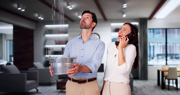 Best Flood damage cleanup  in West Liberty, WV