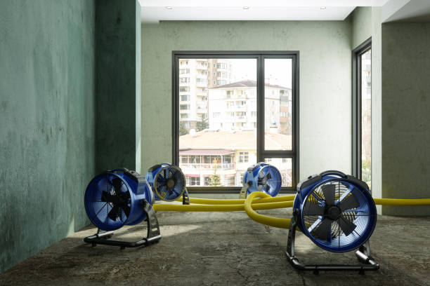 Best Sewage cleanup and water damage restoration  in West Liberty, WV