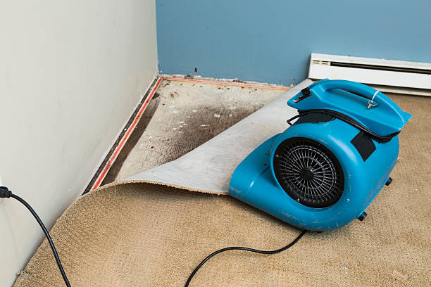 Best Water damage restoration near me  in West Liberty, WV